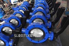 D71Xy