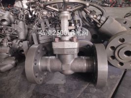 2500LBly